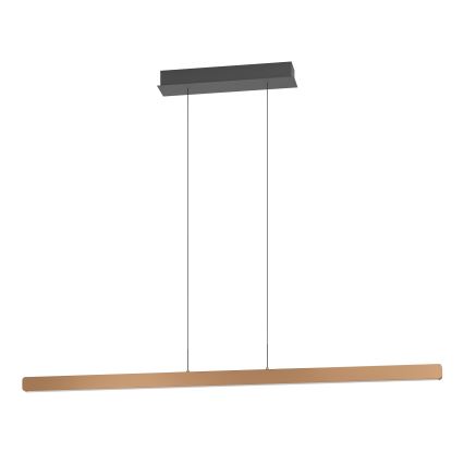 Eglo - LED-dimbar takpendel på vajer LED/30W/230V 2200-6500K guld + fjärrkontroll