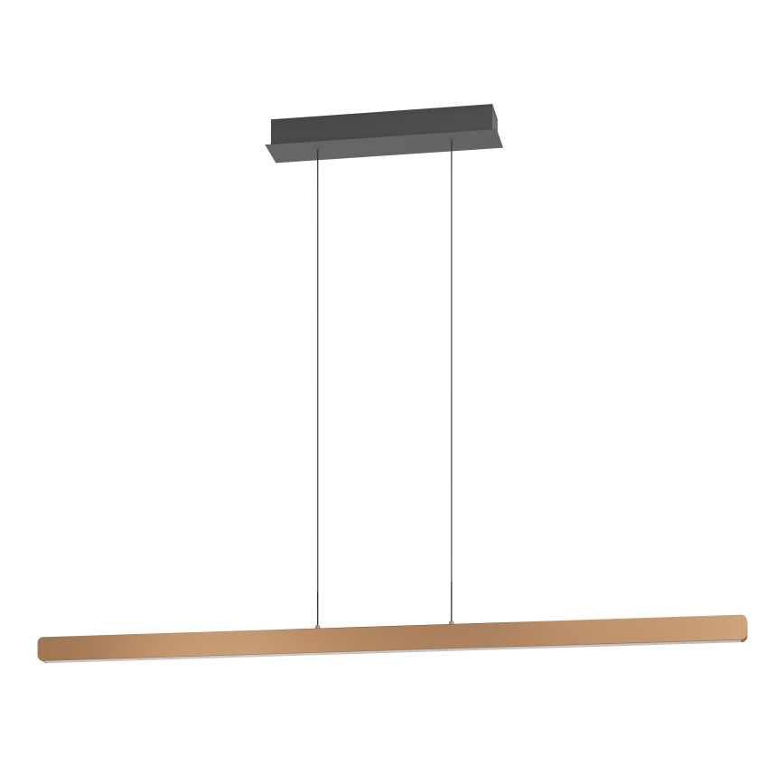 Eglo - LED-dimbar takpendel på vajer LED/30W/230V 2200-6500K guld + fjärrkontroll