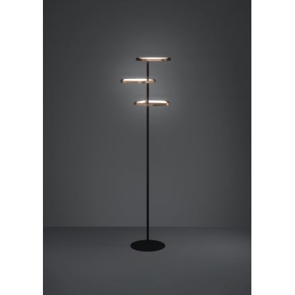 Eglo - Dimbar LED-golvlampa LED/20W/230V 2200-6500K mässing