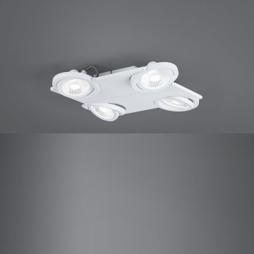 Eglo 39136 - LED spotlight BREA 4xLED/5W/230V/12V