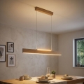Eglo 39344 - LED-pendel på vajer CLIMENE LED/17W/230V + LED/4,2W ek