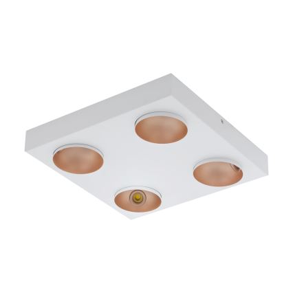 Eglo 39377 - LED Dimbar Takbelysning RONZANO 4xLED/3,3W/230V