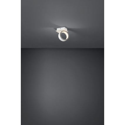 Eglo - LED spotlight LED/4,6W/230V 3000K