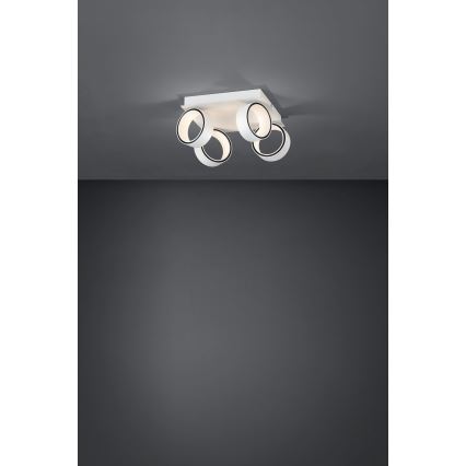 Eglo 39587 - LED spotlight ALBARIZA 4xLED/4,6W/230V