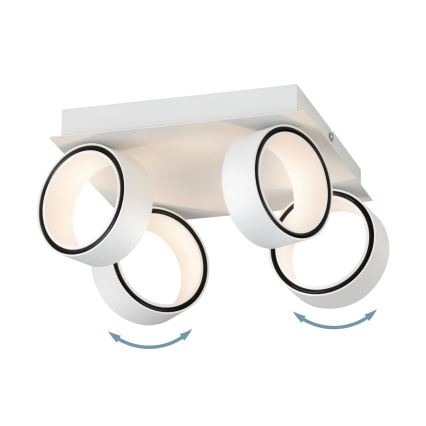 Eglo 39587 - LED spotlight ALBARIZA 4xLED/4,6W/230V