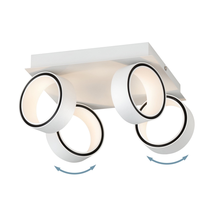 Eglo 39587 - LED spotlight ALBARIZA 4xLED/4,6W/230V