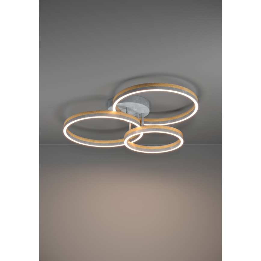 Eglo - Dimbar LED ytmonterad ljuskrona LED/12,5W/230V + 2xLED/15,5W 3000K grå/ek