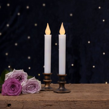 Eglo 410029 - 2-pack LED-ljus LED/1xAA varmvit