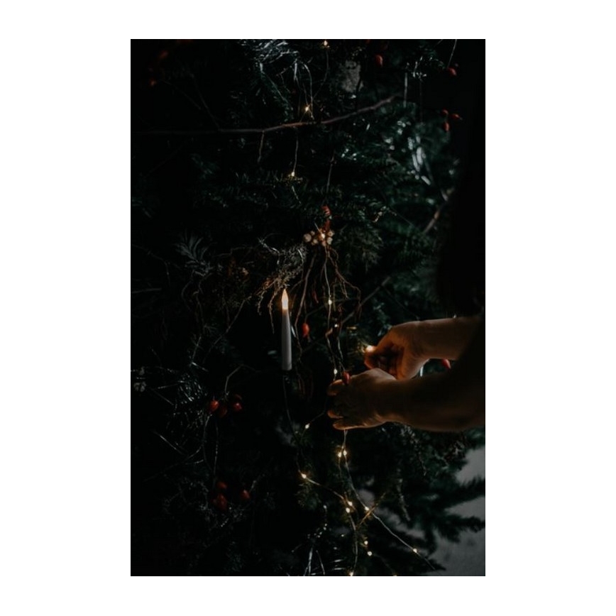 Eglo - Julgran 250 cm gran