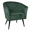 Eglo 424945 - Fåtölj AMPAHA 78x70 cm grön