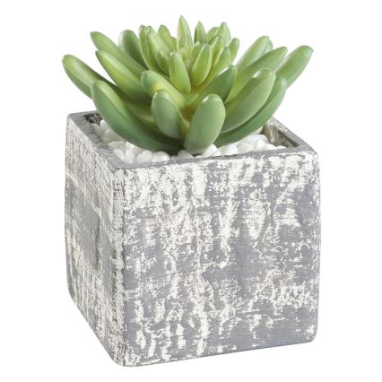 Eglo - Konstgjord växt i kruka 12x7,5 cm suckulent