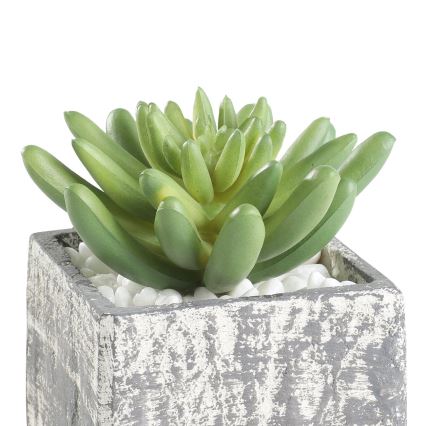 Eglo - Konstgjord växt i kruka 12x7,5 cm suckulent