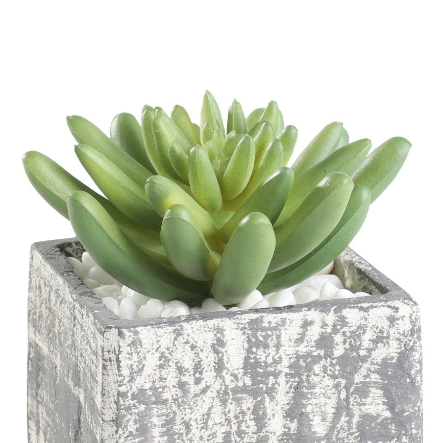 Eglo - Konstgjord växt i kruka 12x7,5 cm suckulent