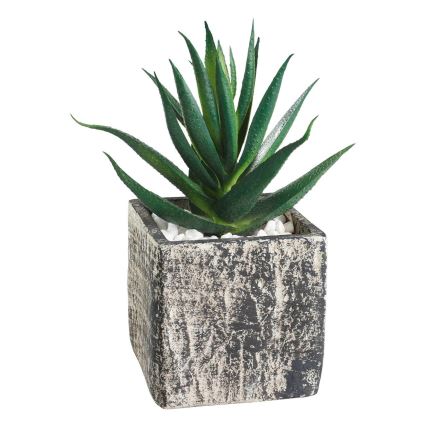 Eglo - Konstgjord växt i kruka 13x9,5 cm suckulent