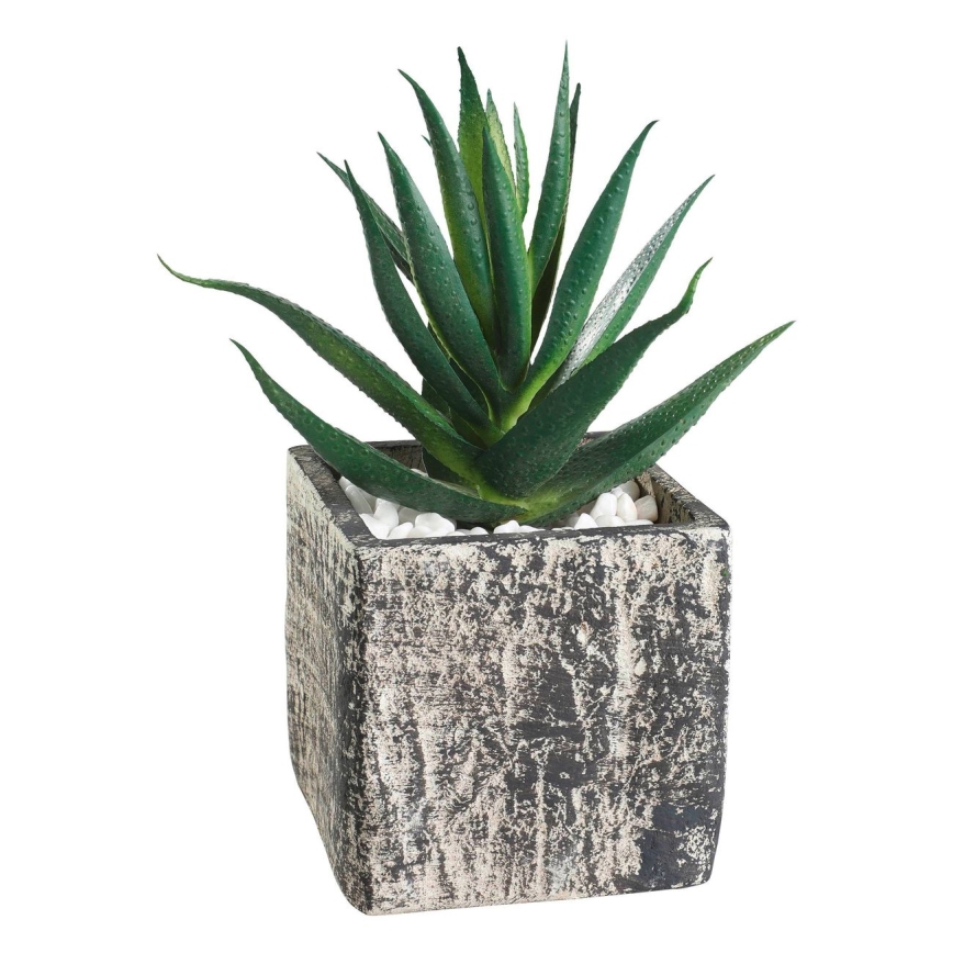 Eglo - Konstgjord växt i kruka 13x9,5 cm suckulent