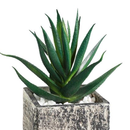 Eglo - Konstgjord växt i kruka 13x9,5 cm suckulent