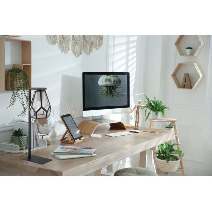 Eglo - Bordslampa  1xE27/40W/230V