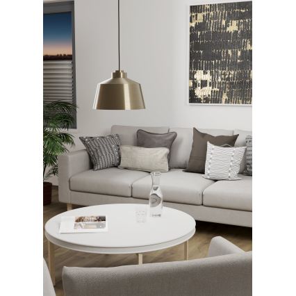 Eglo - Taklampa 1xE27/40W/230V