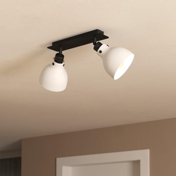 Eglo 43828 - Spotlight MATLOCK 2xE27/40W/230V