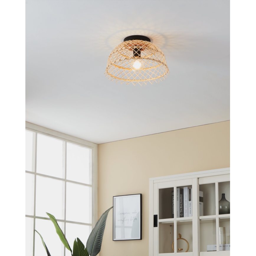 Eglo 43831 - Taklampa AUSNBY 1xE27/40W/230V