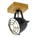 Eglo 49076 - Spotlight GATEBECK 1xE14/40W/230V
