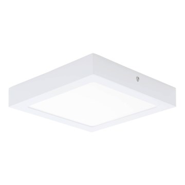 Eglo 64717 - LED taklampa FUEVA PRO LED/19W/230V 3000K 22,5x22,5 cm vit