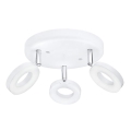 Eglo 75203 - LED spotlight ODERZO 3xLED/3.8W/230V
