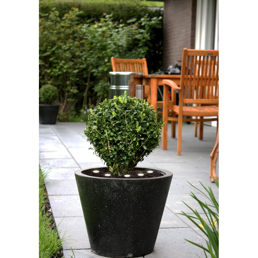 Eglo - LED Utomhusdekorationkedja SPINETOLI 6xLED IP65