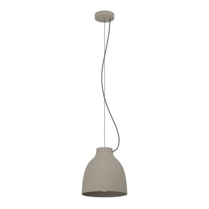 Eglo - Taklampa 1xE27/40W/230V grå