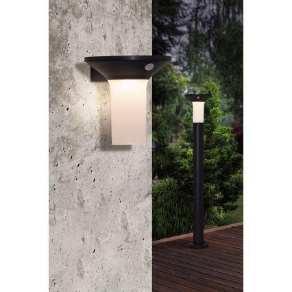 Eglo - LED utomhussolcellslampa med sensor 6xLED/0,03W/3,7V IP44