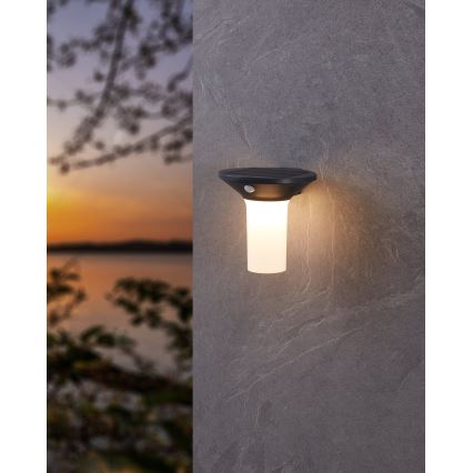 Eglo - LED utomhussolcellslampa med sensor 6xLED/0,03W/3,7V IP44