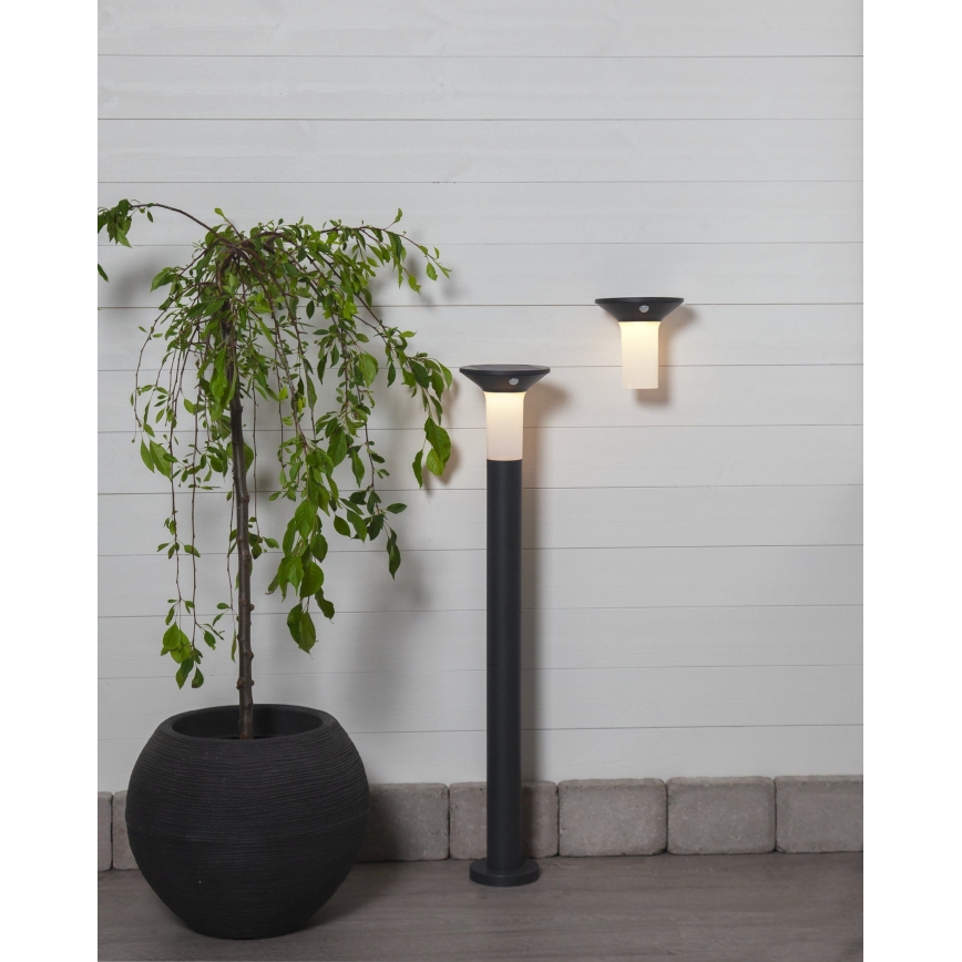 Eglo - LED utomhussolcellslampa med sensor 6xLED/0,03W/3,7V IP44