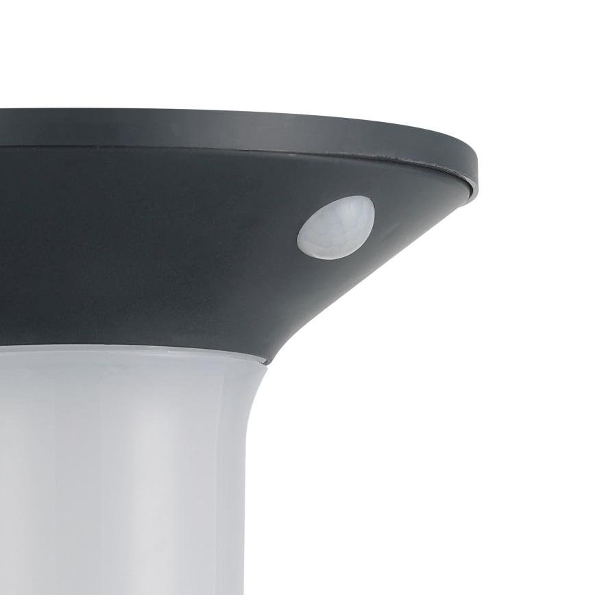 Eglo - LED utomhussolcellslampa med sensor 6xLED/0,03W/3,7V IP44