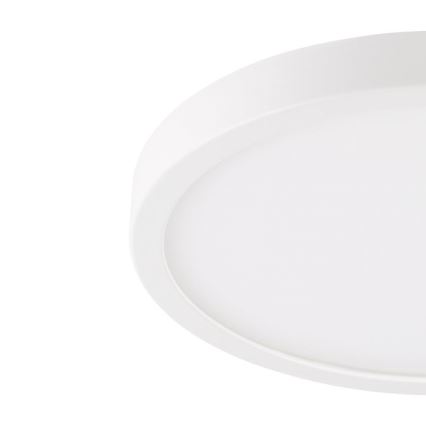 Eglo - LED badrumstaklampa LED/20,5W/230V IP44 vit