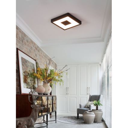 Eglo - LED Utomhus taklampa LED/17W/230V IP44 svart