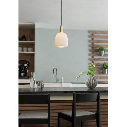 Eglo - Taklampa 1xE27/40W/230V