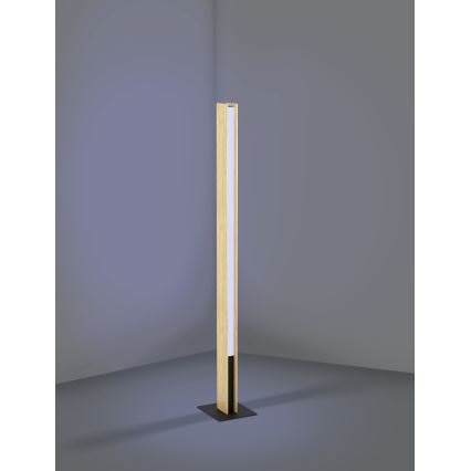Eglo - LED RGBW Ljusreglerad golvlampa LED/35W/230V 2700-6500K