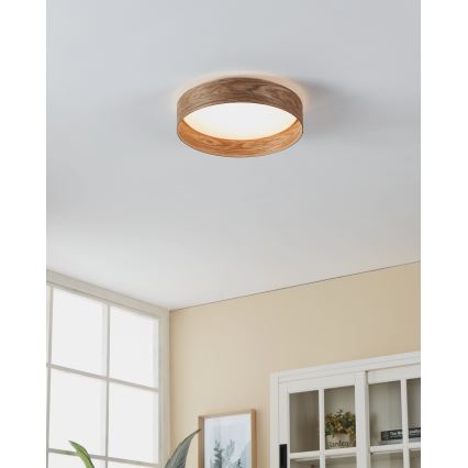Eglo - LED Taklampa LED/24W/230V