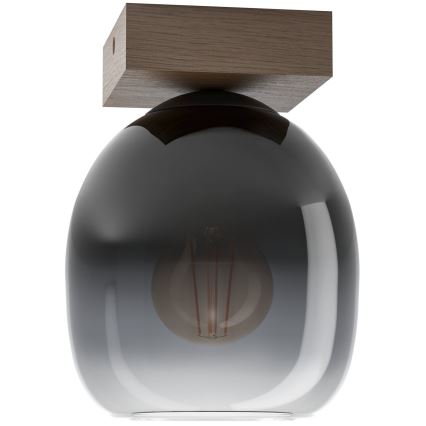 Eglo - Taklampa 1xE27/40W/230V