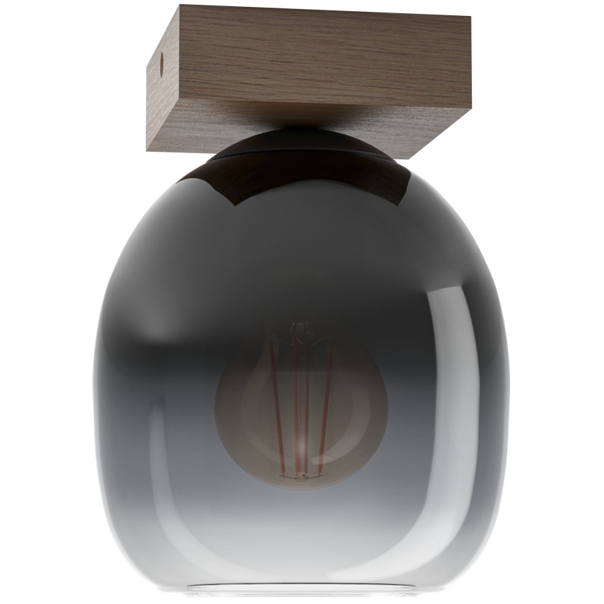 Eglo - Taklampa 1xE27/40W/230V