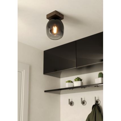 Eglo - Taklampa 1xE27/40W/230V