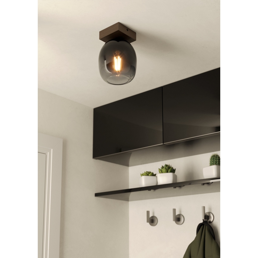 Eglo - Taklampa 1xE27/40W/230V
