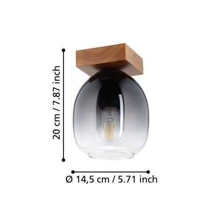 Eglo - Taklampa 1xE27/40W/230V