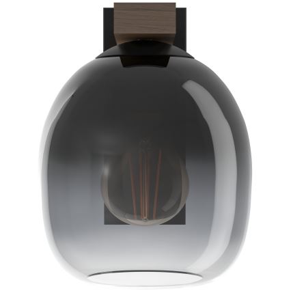 Eglo - Vägglampa 1xE27/40W/230V