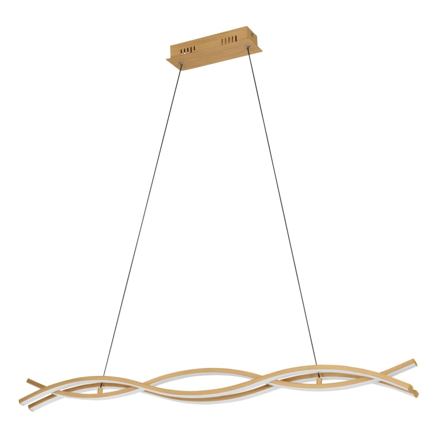 Eglo - LED-taklampa på vajer LED/35W/230V guldfärgad