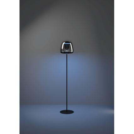 Eglo - LED RGBW dimbar golvlampa LED/15,5W/230V 2700-6500K rökfärgad