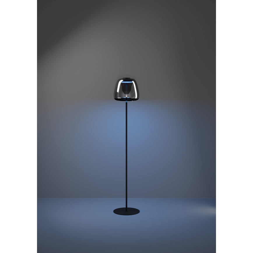 Eglo - LED RGBW dimbar golvlampa LED/15,5W/230V 2700-6500K rökfärgad