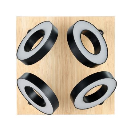 Eglo - LED-spottarmatur 4xLED/4,2W/230V svart/brun