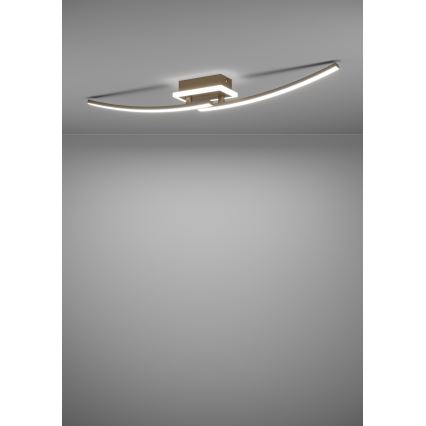 Eglo - LED taklampa LED/12W/230V 4000K koppar