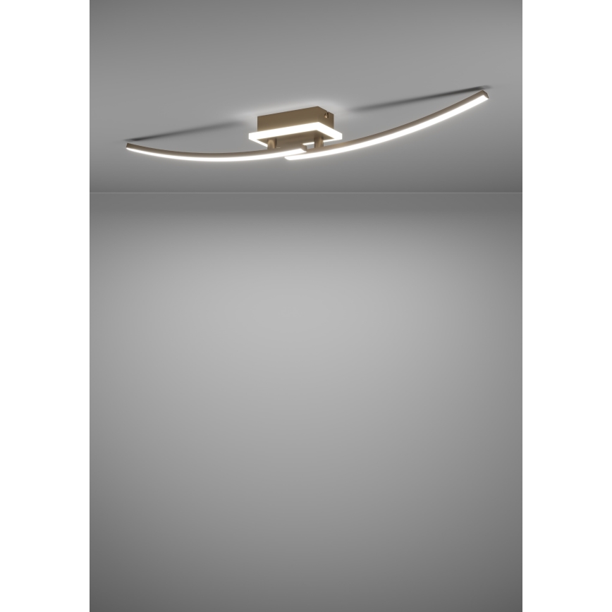 Eglo - LED taklampa LED/12W/230V 4000K koppar